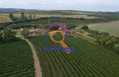 Fazenda com 2 salas à venda na ÁRea Rural, Zona Rural, Oliveira