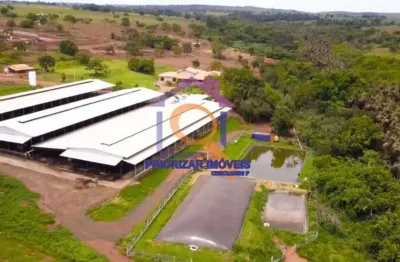 Fazenda leiteira com 112 ha formada no triangulo mineiro-mg