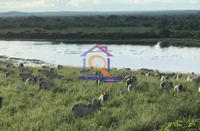 Fazenda com 2 salas à venda na ÁRea Rural, Zona Rural, Pedras de Maria da Cruz