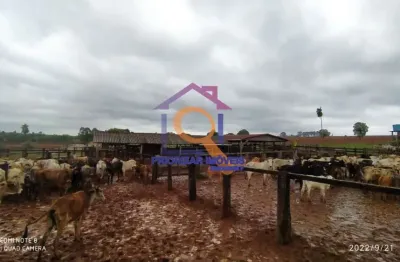 Fazenda com 2 salas à venda na ÁRea Rural, Zona Rural, São Félix do Araguaia
