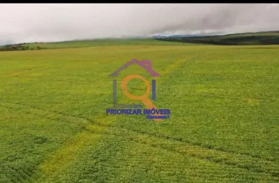 Fazenda com 2 salas à venda na ÁRea Rural, Zona Rural, Água Fria de Goiás