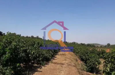 Fazenda com 2 salas à venda na Zona Rural, Zona Rural, Santo Antônio do Amparo