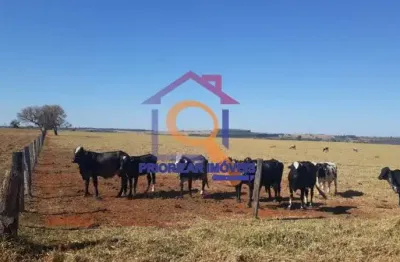 Fazenda com 304 ha formada, área de lavoura e gado em presid