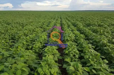 Fazenda dupla aptidão 17.000 mil ha formada em água boa-mt