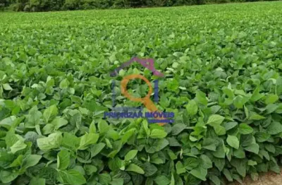 Fazenda dupla aptidão com 1.396 ha em capão bonito - sp