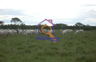 Fazenda com 2.620 hectares  em brasilãndia de minas-mg