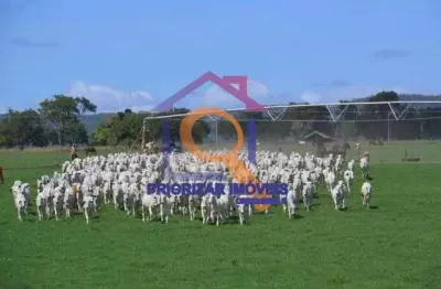 Fazenda com 2 salas à venda na ÁRea Rural, Zona Rural, Pirapora