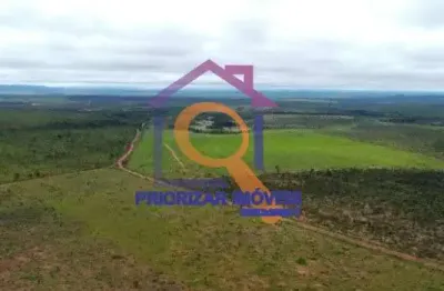 Fazenda dupla aptidão,17.000  ha em ponte alta do tocantins