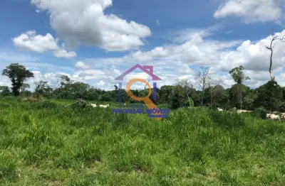 Fazenda dupla aptidão, 980 alqueires no sul do tocantins-to