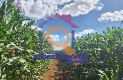 Fazenda de dupla aptidão com 405 ha formada em paracatu - mg