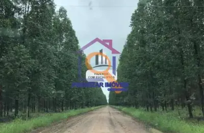 Fazenda com 2 salas à venda na ÁRea Rural, Zona Rural, Bonito de Minas