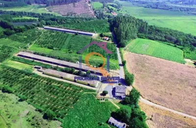 Fazendinha de 15,8 ha com granja na região de sorocaba -sp