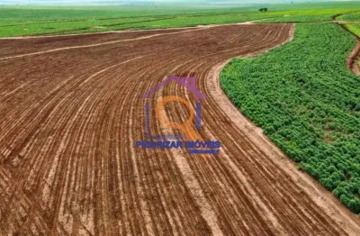 Fazenda para plantio com 593,66 ha em presidente prudente-sp