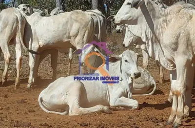 Fazenda dupla aptidão irrigadacom 1.214 ha em felixlândia-mg