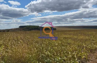 Fazenda com 2 salas à venda na ÁRea Rural, Zona Rural, Água Fria de Goiás