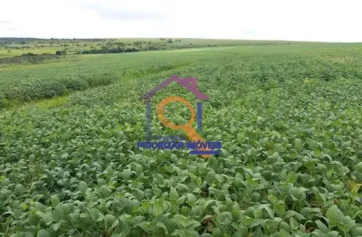 Fazenda com 2 salas à venda na ÁRea Rural, Zona Rural, Água Fria de Goiás