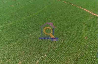 Fazenda de cana com 912 ha em presidente prudente- sp