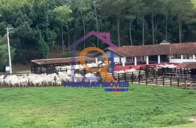 Ótima fazenda dupla aptidão 800 ha  no vale paraiba -sp