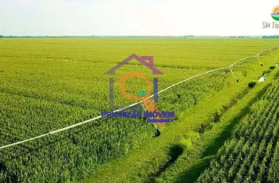 Fazenda dupla aptidão 10.500 ha formada em são francisco-mg