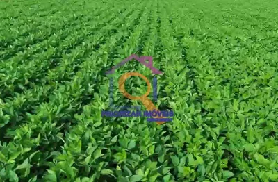 Fazenda com 2 salas à venda na ÁRea Rural, Zona Rural, Unaí