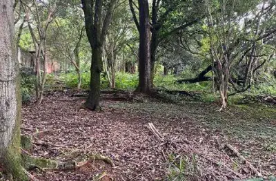 Lote/terreno para venda possui 2334 metros quadrados em garças - belo horizonte - mg