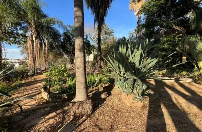 Terreno à venda na Santa Amélia, Belo Horizonte 