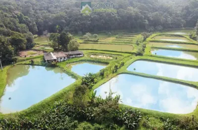 Chácara / sítio com 2 quartos à venda na Zona Rural, Morretes 