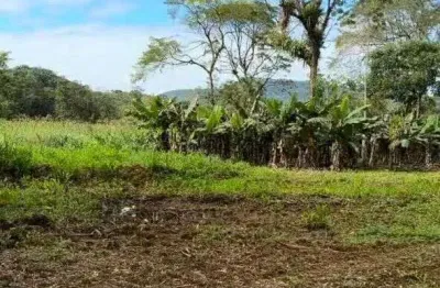 Área à venda no bairro rio sagrado - morretes/pr, rural