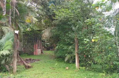 Terreno à venda no bairro américa de cima - morretes/pr