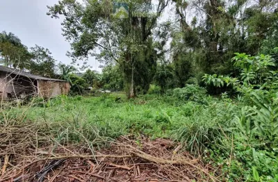 Terreno à venda no bairro rocio - morretes/pr, urbana
