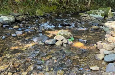 Chácara 36.600 m² em morretes com 3 tanques de peixes 1500 pés de bananas e rio passando dentro da propriedade