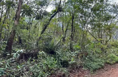 Terreno à venda no bairro são joão da graciosa - morretes/pr, rural