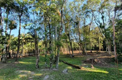 Terreno à venda no bairro américa de cima - morretes/pr, rural