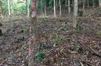 Terreno à venda na Estrada Do Bom  Jardim, Zona Rural, Morretes