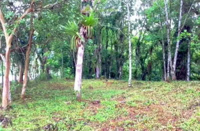 Terreno no bairro sarapia, morretes/pr de frente para o asfalto.