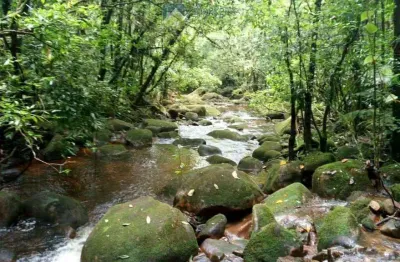 Terreno à venda na estrada da ponte alta, 227, zona rural, morretes, 39400 m2 por r$ 375.000