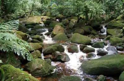 Terreno à venda na estrada da ponte alta, 227, zona rural, morretes, 39400 m2 por r$ 375.000