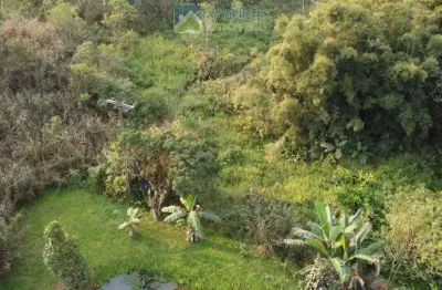 Chácara em morretes  mais de 20.100m  documentado em local de fácil acesso