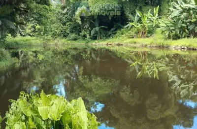 Área à venda no bairro marumbi - morretes/pr, rural