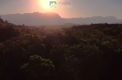 Área rural documentada com 150.480 m²  (15hec) em meio à natureza! estrada de fácil acesso em  morretes/pr.