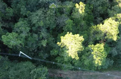 Área rural documentada com 150.480 m²  (15hec) em meio à natureza! estrada de fácil acesso em  morretes/pr.