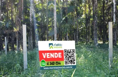 Terreno lote com 1.500m² plano, frente para estrada, próximo 200 metros da ponte do nhundiaquara morretes/pr