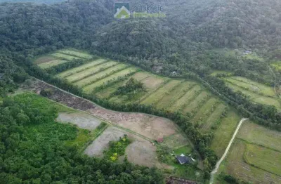 Sítio 14 alqueires em itaqui  atividade cultivo de arroz ou piscicultura capacidade mais de  26 tanques no município de guaraqueçaba pr