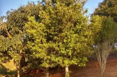 Chácara / sítio com 2 quartos à venda em pinhal, jacareí  por r$ 320.000