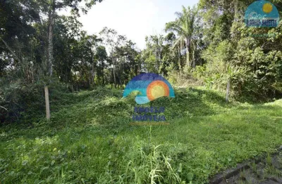 Terreno à venda, 265 m² por r$ 40.000,00 - jardim marcia - peruíbe/sp