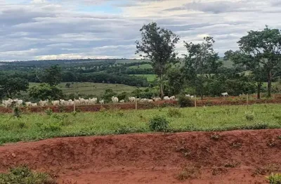Propriedade rural espetacular de dupla aptidão em monte alegre-mg
