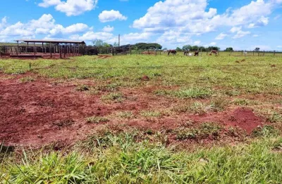 Fazenda de dupla aptidão em campo grande, ms - 2000 hectares de oportunidade!