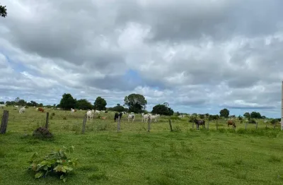 Incrível oportunidade: fazenda de 20.000 hectares em cocalinho - mt - dupla aptidão e infraestrutura completa!