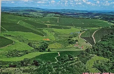 Viva o sonho do café: torne-se dono de uma fazenda de sucesso em santo antônio do amparo-mg