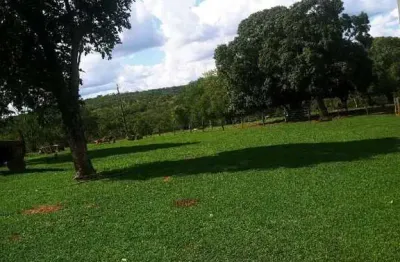 Chácara / sítio à venda na ÁRea Rural De Campina Verde, Zona Rural, Campina Verde